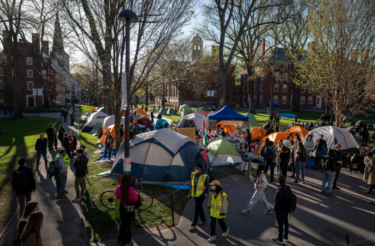 Harvard’s campus in April of 2024 is littered with tents during a protest against the war in Gaza.